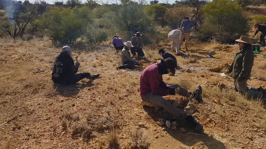 Hallan fósiles de dos marsupiales australianos de 25 millones de años. Hallan fósiles de dos marsupiales australianos de 25 millones de años.