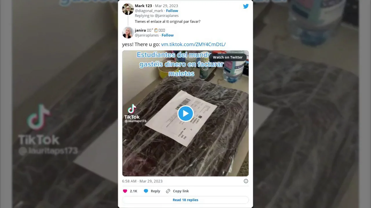 Una joven se hace viral al contar el truco para no facturar la maleta envi&aacute;ndola por Vinted