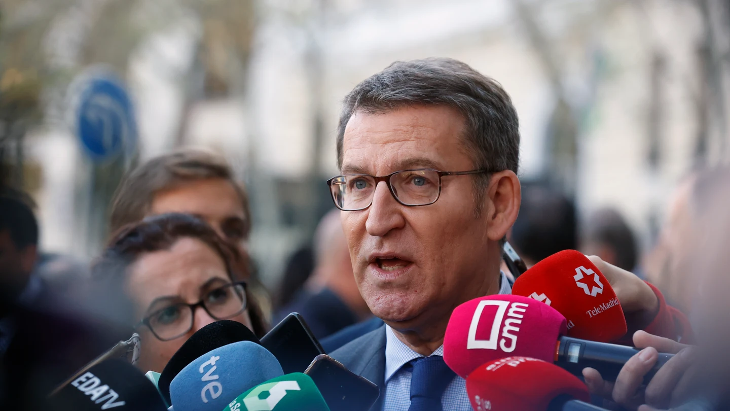 El presidente del PP, Alberto Núñez Feijóo. El presidente del PP, Alberto Núñez Feijóo.