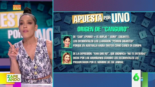 De 'perro gigante' o de la expresión aborigen 'no te entiendo': ¿Cuál es el origen de la palabra canguro? De 'perro gigante' o de la expresión aborigen 'no te entiendo': ¿Cuál es el origen de la palabra canguro?