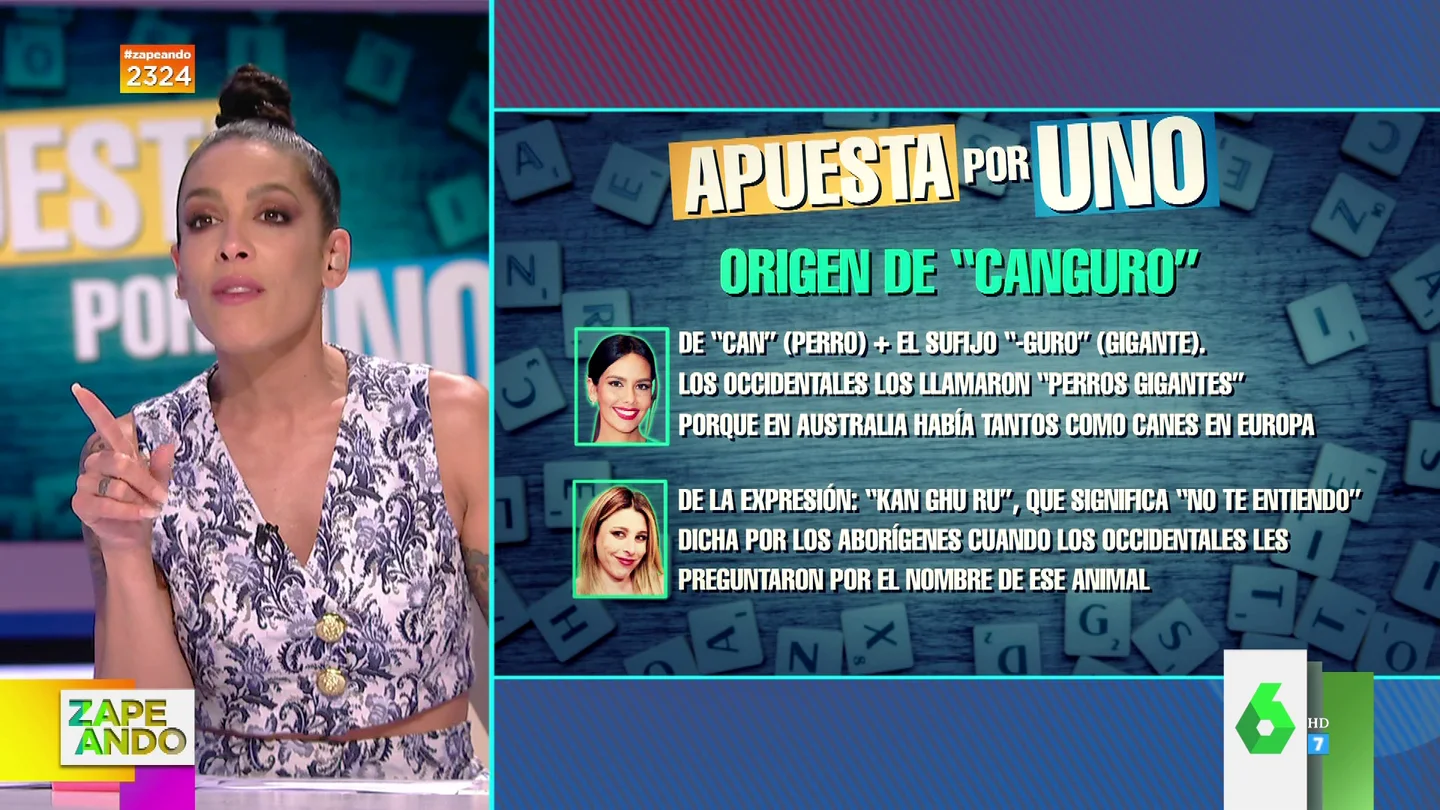 De 'perro gigante' o de la expresión aborigen 'no te entiendo': ¿Cuál es el origen de la palabra canguro? De 'perro gigante' o de la expresión aborigen 'no te entiendo': ¿Cuál es el origen de la palabra canguro?