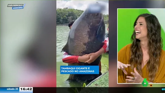 Aruseros: Pescan un especular pez gigante en el Amazonas Aruseros: Pescan un especular pez gigante en el Amazonas