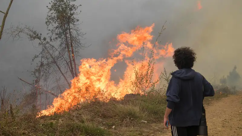 Incendio en Navelgas, Asturias