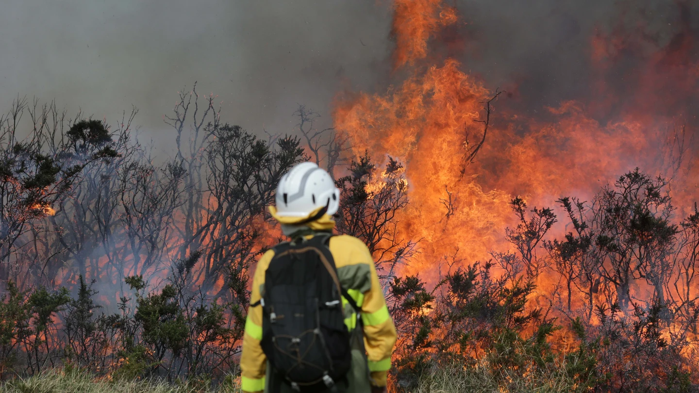 ¿Qué significa cada nivel de emergencia en incendios forestales? ¿Qué significa cada nivel de emergencia en incendios forestales?