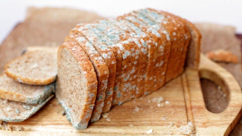 Pan con moho