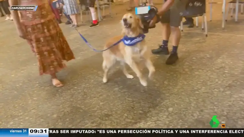 El emotivo homenaje a un perro de apoyo que se jubila de su trabajo en un hospital porque padece cáncer
