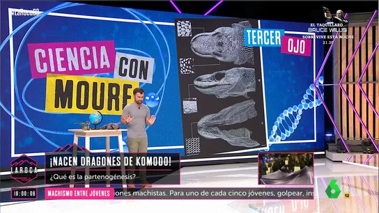 El tercer ojo de los reptiles que los humanos "en cierta forma tenemos": el análisis de Ricardo Moure El tercer ojo de los reptiles que los humanos "en cierta forma tenemos": el análisis de Ricardo Moure