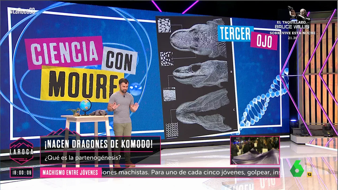 El tercer ojo de los reptiles que los humanos "en cierta forma tenemos": el análisis de Ricardo Moure El tercer ojo de los reptiles que los humanos "en cierta forma tenemos": el análisis de Ricardo Moure