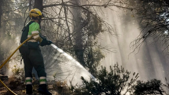 Incendio en Castellón Incendio en Castellón