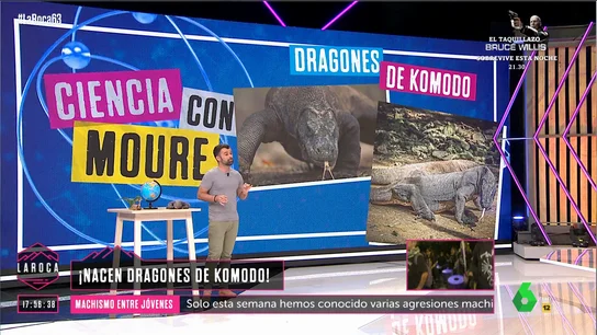 La sangre de los dragones de Komodo podría salvarnos la vida: Ricardo Moure explica por qué La sangre de los dragones de Komodo podría salvarnos la vida: Ricardo Moure explica por qué