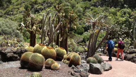 Jardín canario