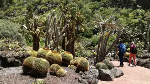 Jardín canario Jardín canario