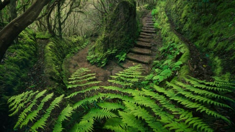 Ruta de senderismo en el Parque Rural de Anaga, en Tenerife (Islas Canarias)