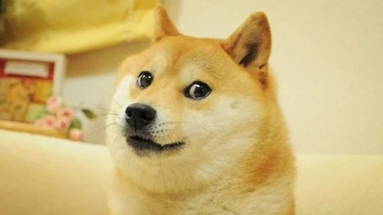 El famoso meme de Twitter que inspira el logo por el que se ha cambiado El famoso meme de Twitter que inspira el logo por el que se ha cambiado