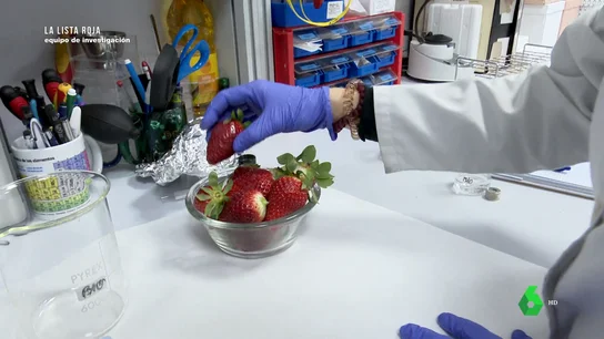 Pesticidas en las fresas: así puedes eliminarlos para evitar su bioacumulación Pesticidas en las fresas: así puedes eliminarlos para evitar su bioacumulación