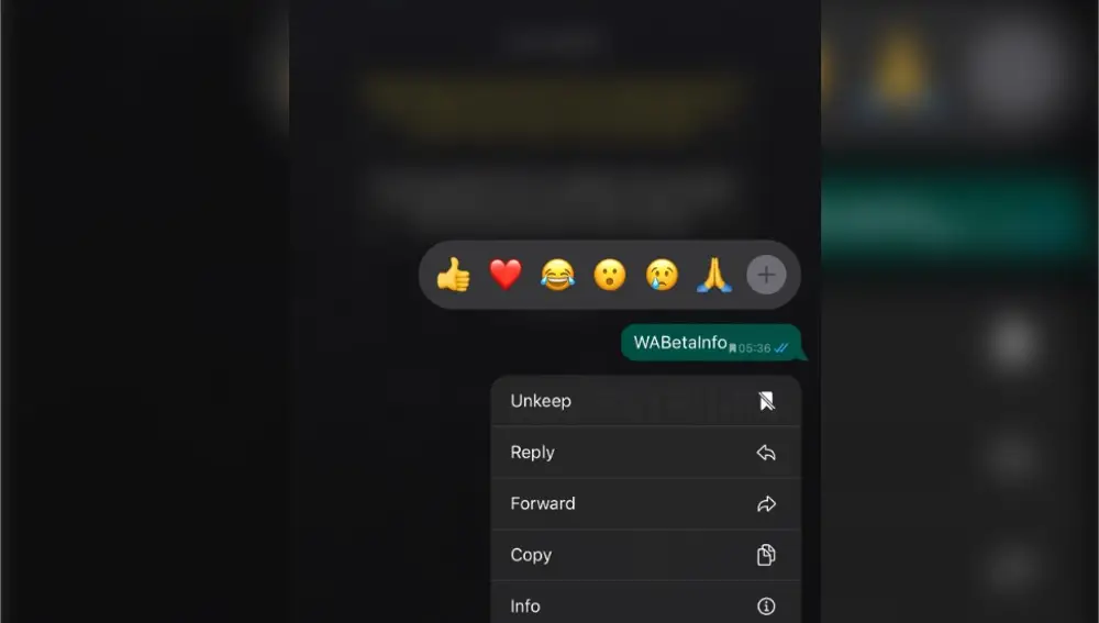 Nueva función de WhatsApp Nueva función de WhatsApp