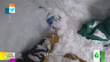 Vídeo viral del rescate a un esquiador enterrado por la nieve en Washington