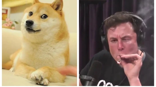 El 'doge' y Elon Musk. El 'doge' y Elon Musk.
