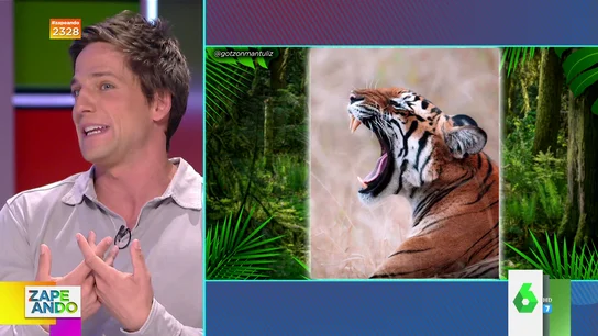 Gotzon Mantuliz describe cómo vio cazar a un tigre en India Gotzon Mantuliz describe cómo vio cazar a un tigre en India