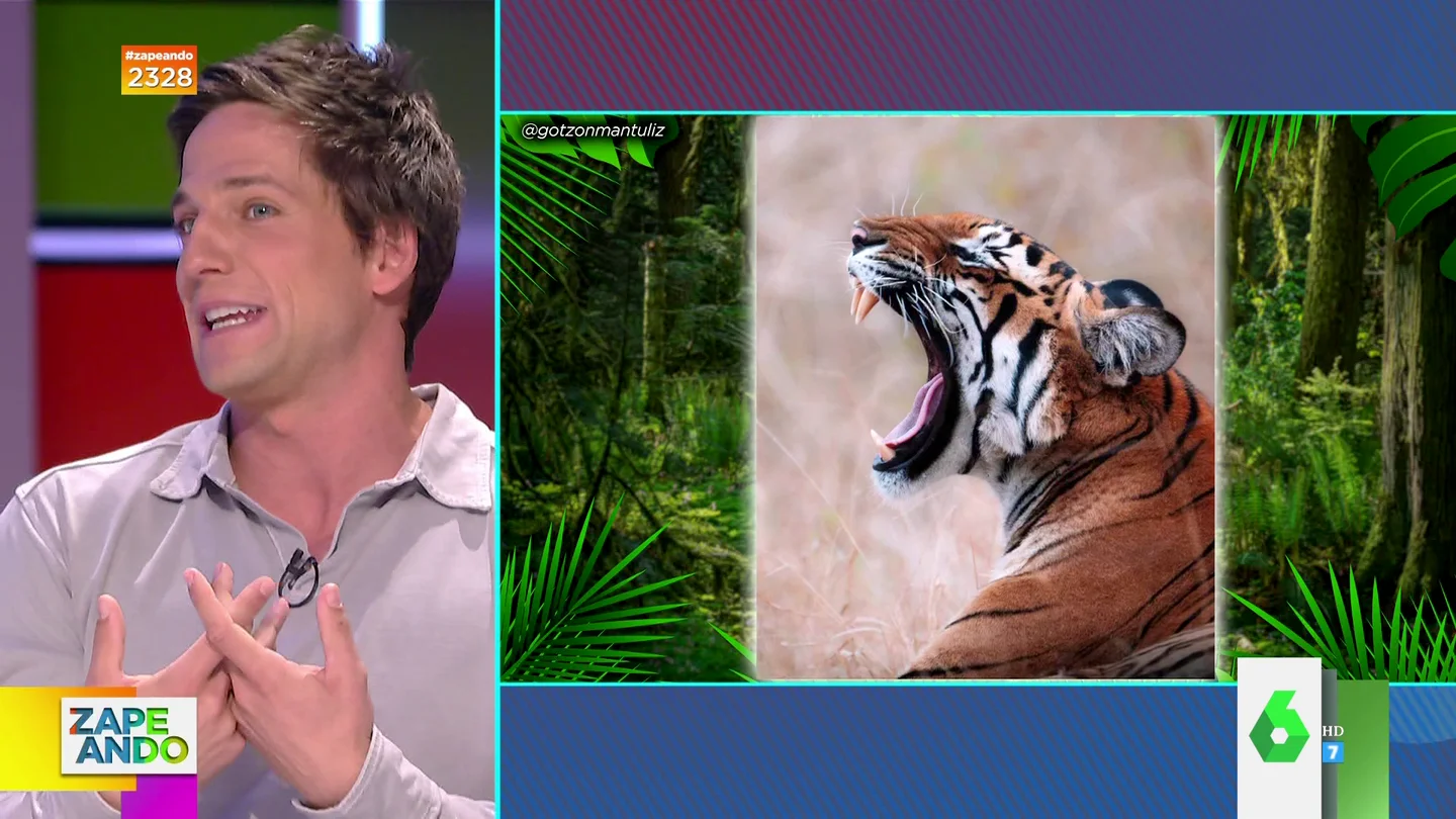 Gotzon Mantuliz describe cómo vio cazar a un tigre en India Gotzon Mantuliz describe cómo vio cazar a un tigre en India