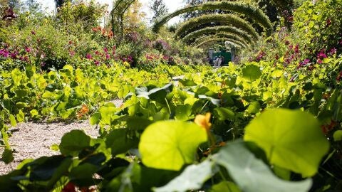 La Fundación Monet en Giverny