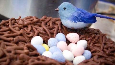 Nido de Pascua.