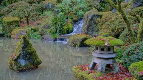 Jardín japonés de Portland. Oregón Jardín japonés de Portland. Oregón