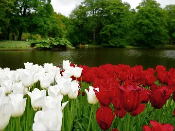 5 pueblos especialmente bonitos en primavera 5 pueblos especialmente bonitos en primavera