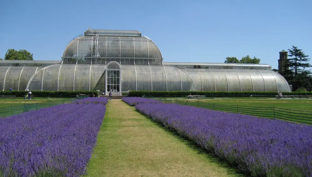 Royal Botanic Gardens en Kew. Reino Unido