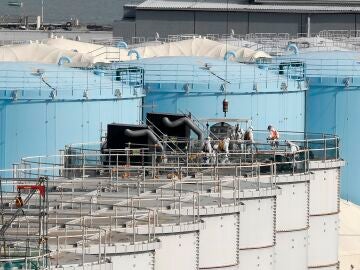 Concerns over Fukushima plant rise after new images of damaged reactor