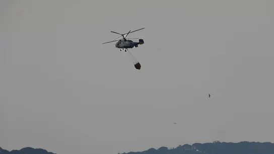 El incendio en Tarifa (Cádiz) queda estabilizado y las personas desalojadas pueden volver a sus hogares El incendio en Tarifa (Cádiz) queda estabilizado y las personas desalojadas pueden volver a sus hogares