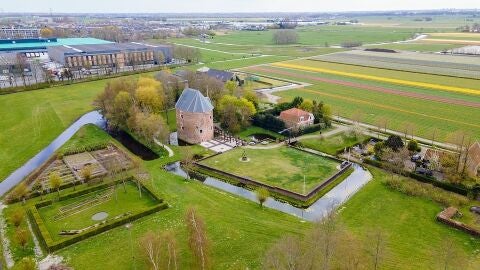 Lisse