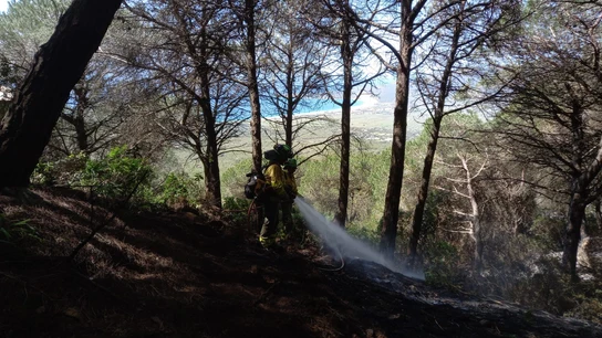 Los Bomberos siguen luchando contra el incendio de Tarifa tras su estabilización Los Bomberos siguen luchando contra el incendio de Tarifa tras su estabilización
