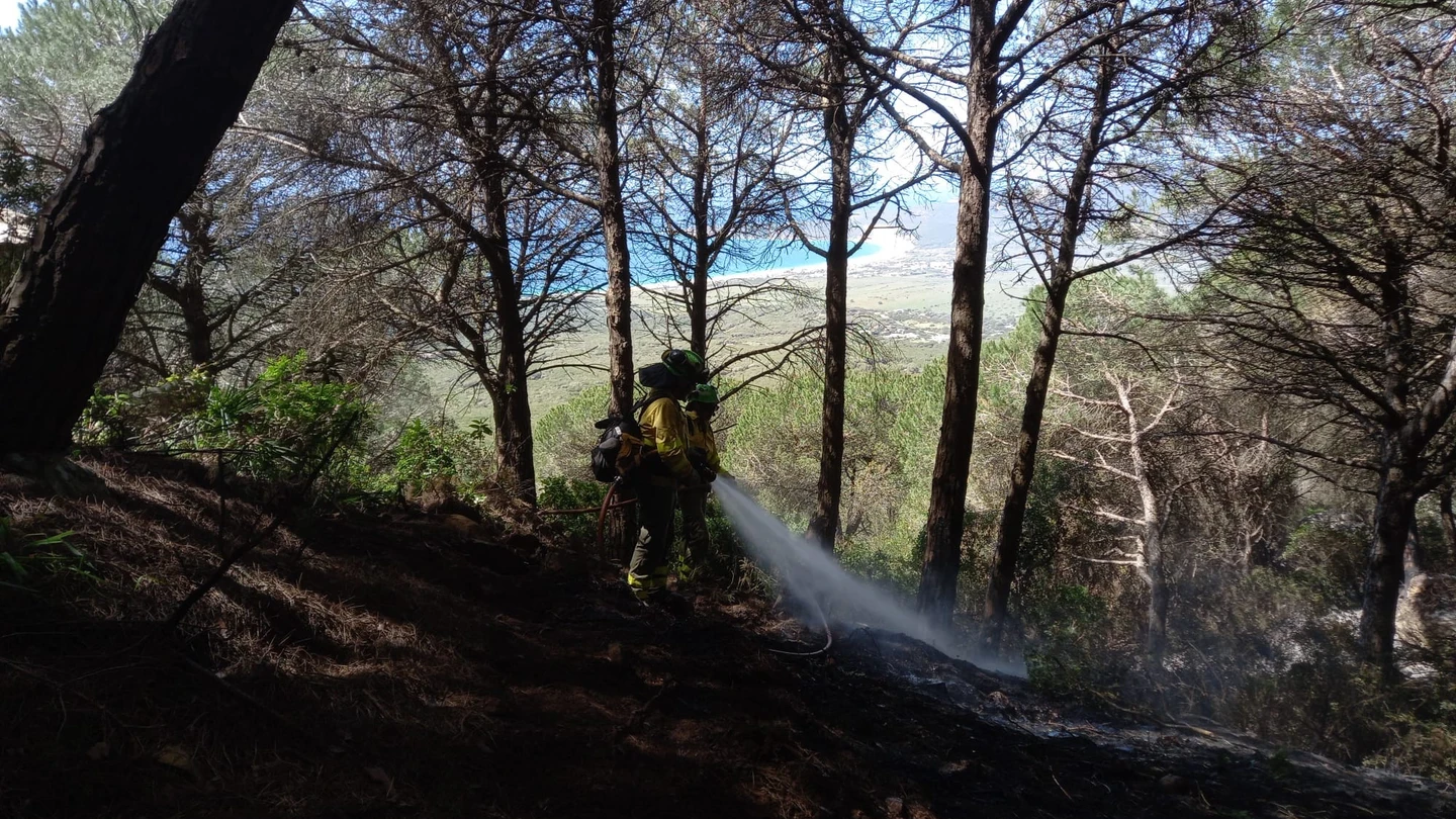 Los Bomberos siguen luchando contra el incendio de Tarifa tras su estabilización Los Bomberos siguen luchando contra el incendio de Tarifa tras su estabilización