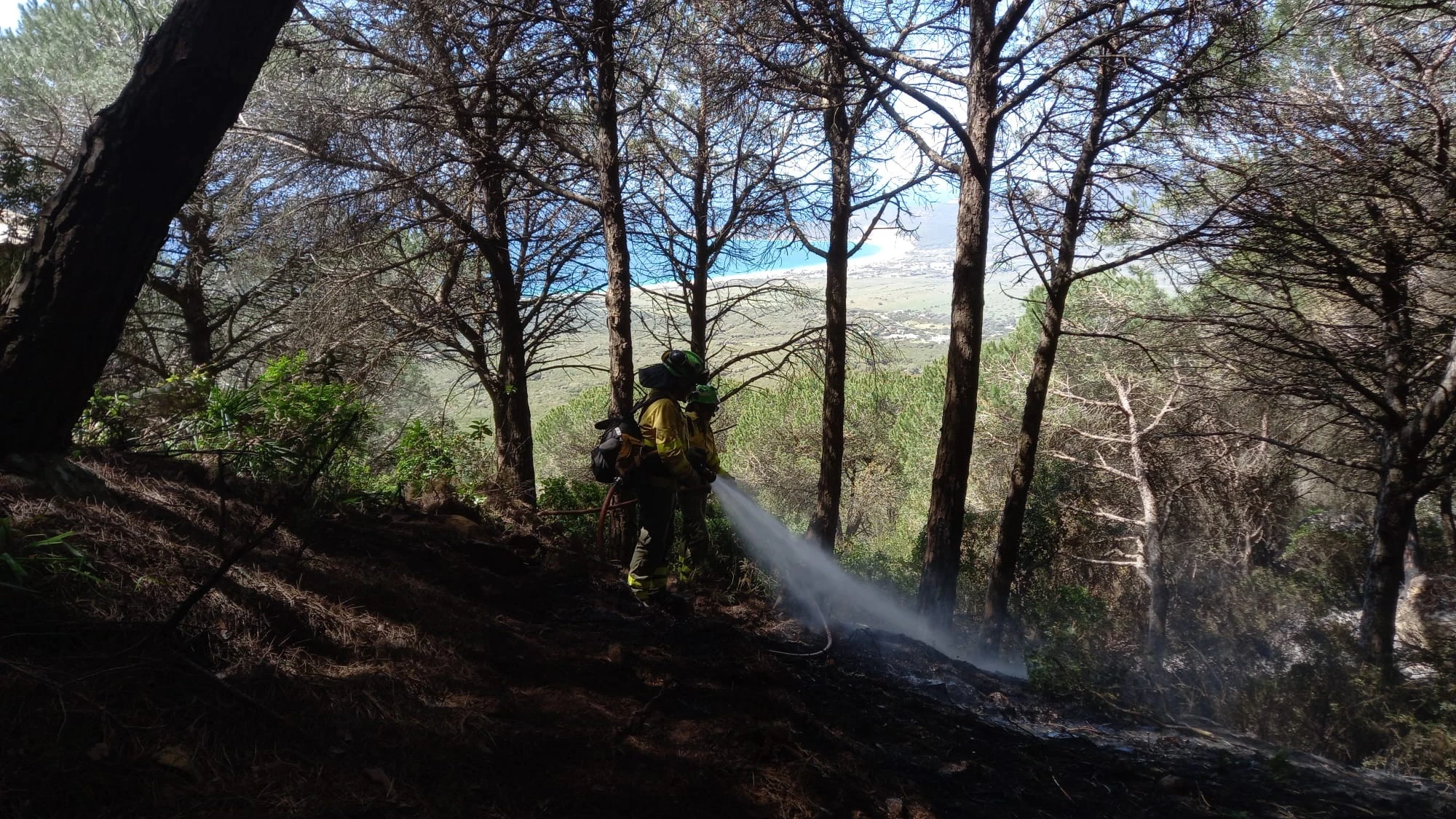 Los Bomberos siguen luchando contra el incendio de Tarifa tras su estabilización