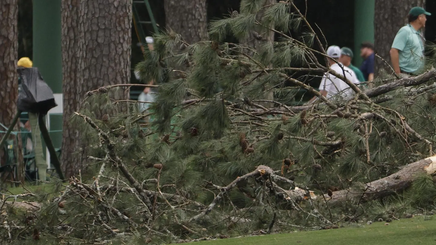 El viento provoca la caída de varios arboles en Augusta, sin heridos El viento provoca la caída de varios arboles en Augusta, sin heridos