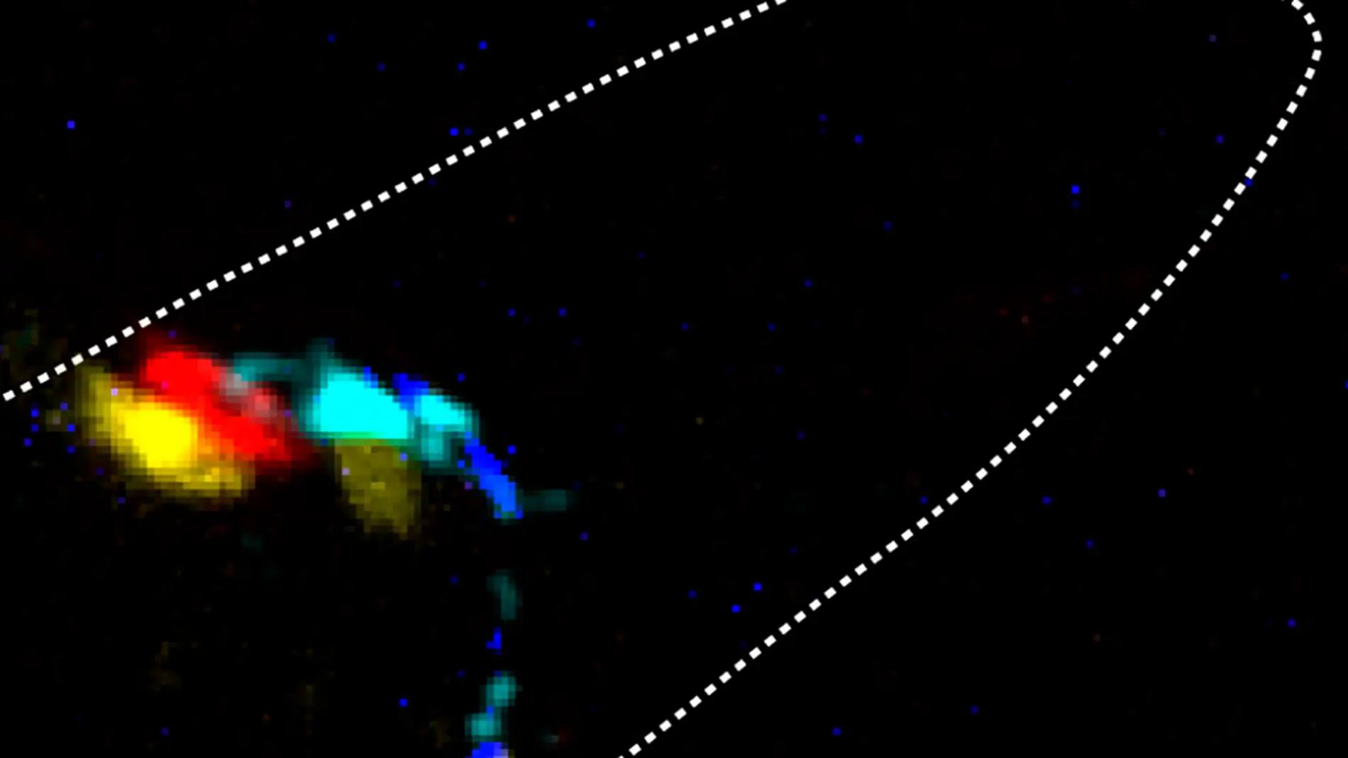 Los investigadores han utilizado el nemátodo Caenorhabditis elegans como modelo experimental Los investigadores han utilizado el nemátodo Caenorhabditis elegans como modelo experimental