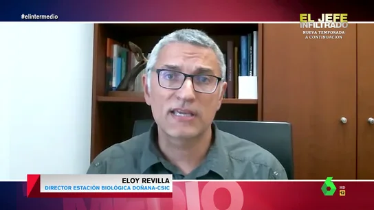 El director de la Estación Bilógica de Doñana describe con este símil lo que está pasando El director de la Estación Bilógica de Doñana describe con este símil lo que está pasando