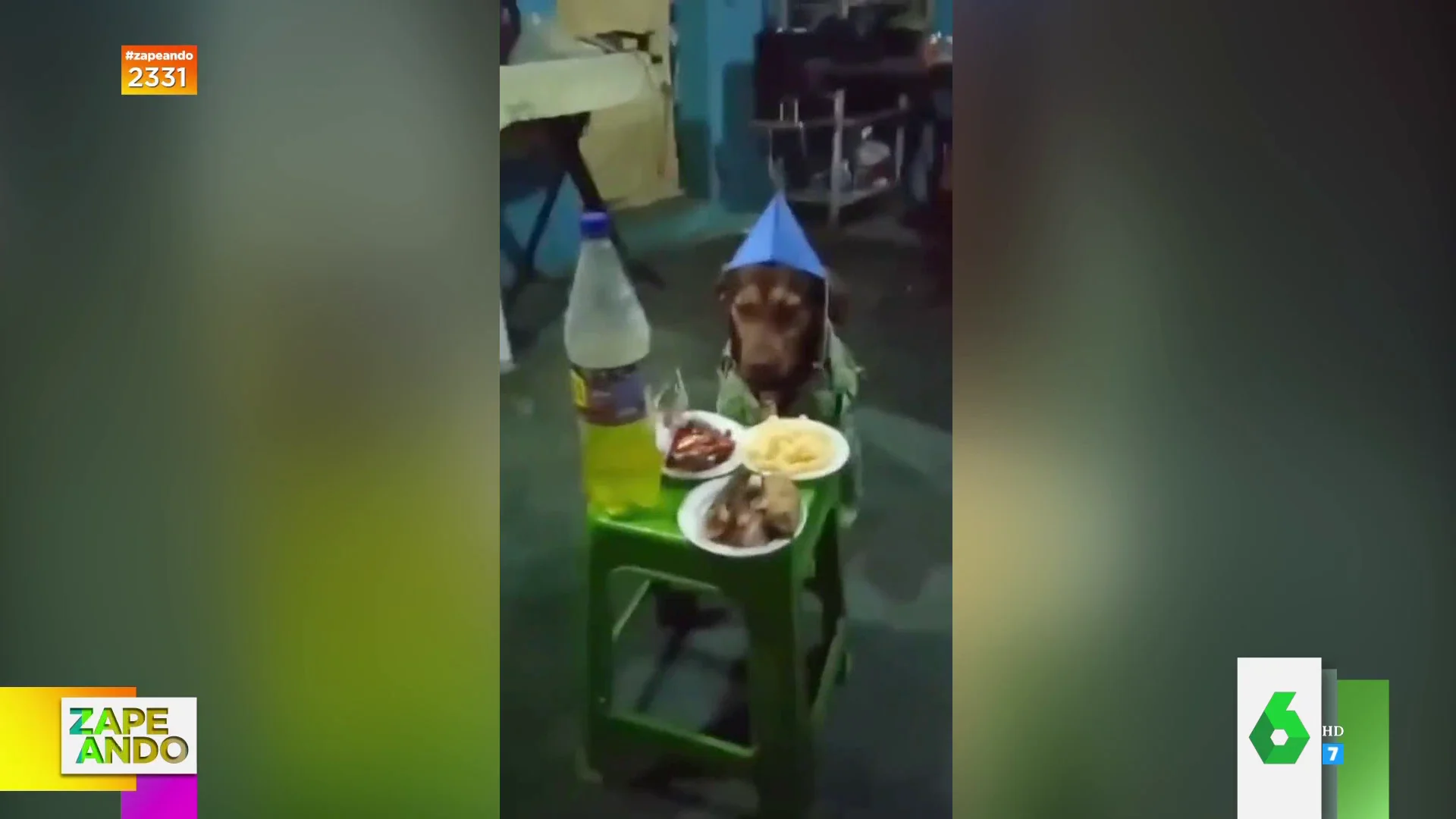 El original 'Cumpleaños feliz' que le cantan a un perro sus dueños: "¡Qué cucos son!"