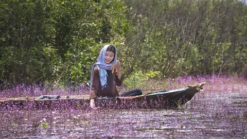Vietnam Vietnam
