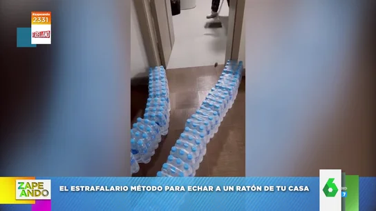 El "revolucionario" método para echar a los ratones de tu casa: "un 'win-win' de manual" El "revolucionario" método para echar a los ratones de tu casa: "un 'win-win' de manual"