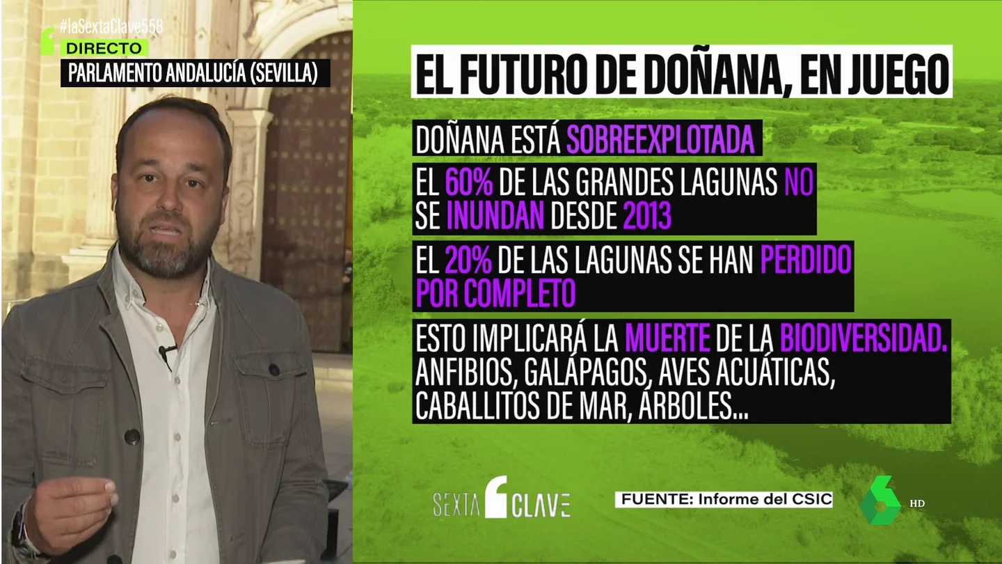 CLAVE Donana CLAVE Donana