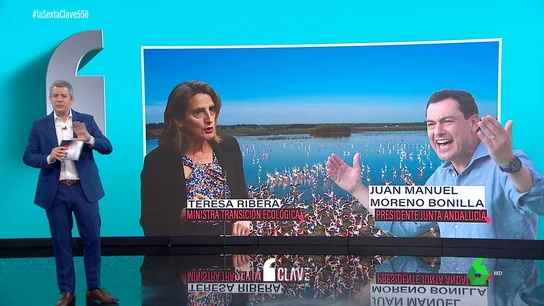 La batalla por el agua inunda la política: cruce de reproches entre la Junta de Andalucía y el Gobierno por Doñana La batalla por el agua inunda la política: cruce de reproches entre la Junta de Andalucía y el Gobierno por Doñana