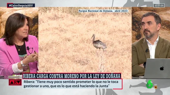 Lucía Méndez carga contra la ley de Doñana: "Es una especie de engaño" Lucía Méndez carga contra la ley de Doñana: "Es una especie de engaño"
