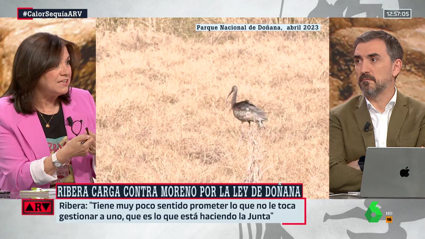 Lucía Méndez carga contra la ley de Doñana: "Es una especie de engaño" Lucía Méndez carga contra la ley de Doñana: "Es una especie de engaño"