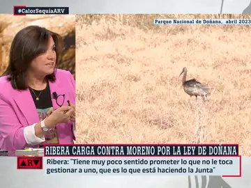 Lucía Méndez carga contra la ley de Doñana: &quot;Es una especie de engaño&quot;