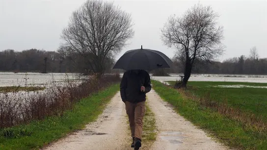 Imagen de un hombre caminando con un paraguas Imagen de un hombre caminando con un paraguas