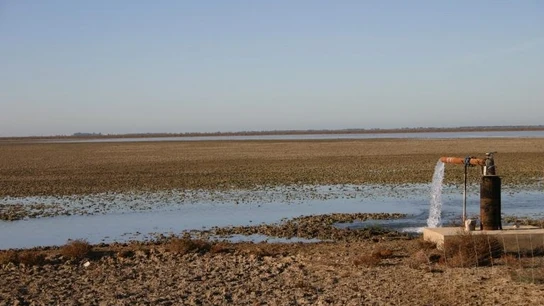 Cómo salvar el parque de Doñana: las tres medidas en las que insisten los expertos Cómo salvar el parque de Doñana: las tres medidas en las que insisten los expertos