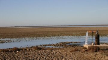 Cómo salvar el parque de Doñana: las tres medidas en las que insisten los expertos