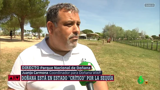 La organización ambiental WWF denuncia las consecuencias negativas que tendrá para Doñana la ley del PP y Vox La organización ambiental WWF denuncia las consecuencias negativas que tendrá para Doñana la ley del PP y Vox